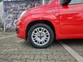 Fiat Panda Easy 1.2 8V Easy Komfort-Paket Rot - thumbnail 5