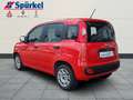 Fiat Panda Easy 1.2 8V Easy Komfort-Paket Rot - thumbnail 3