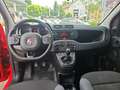 Fiat Panda Easy 1.2 8V Easy Komfort-Paket Rot - thumbnail 8