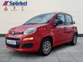 Fiat Panda Easy 1.2 8V Easy Komfort-Paket Rot - thumbnail 1