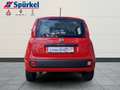 Fiat Panda Easy 1.2 8V Easy Komfort-Paket Rot - thumbnail 4