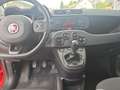 Fiat Panda Easy 1.2 8V Easy Komfort-Paket Rot - thumbnail 9