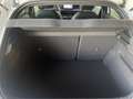 Lancia Ypsilon 1.2 HYBRID - 110CV - LX | 2024 - EDCT Blanc - thumbnail 11