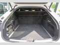 Audi A6 A6 Avant 2.0 tdi mhev S line quattro 204cv-FULL! Bianco - thumbnail 16