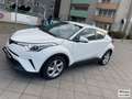 Toyota C-HR Hybrid Lounge Weiß - thumbnail 8