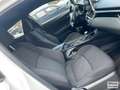 Toyota C-HR Hybrid Lounge Weiß - thumbnail 4