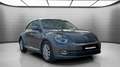 Volkswagen Beetle 2.0TDI Connection 140 Marrón - thumbnail 4