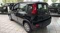 Fiat Panda Pandina Schwarz - thumbnail 4