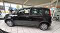 Fiat Panda Pandina Schwarz - thumbnail 5