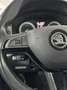 Skoda Kodiaq Style.7xSITZER.NAVI.PANO.AHK.KAM.ACC Gris - thumbnail 16