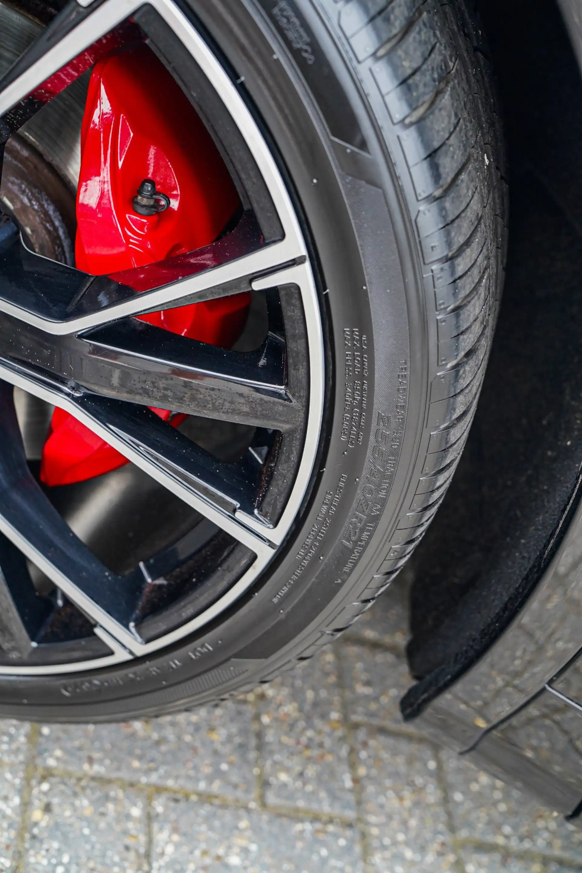 Audi SQ5 3.0 TFSI SQ5 quattro Pro Line Plus | Panorama | Tr — photo 35