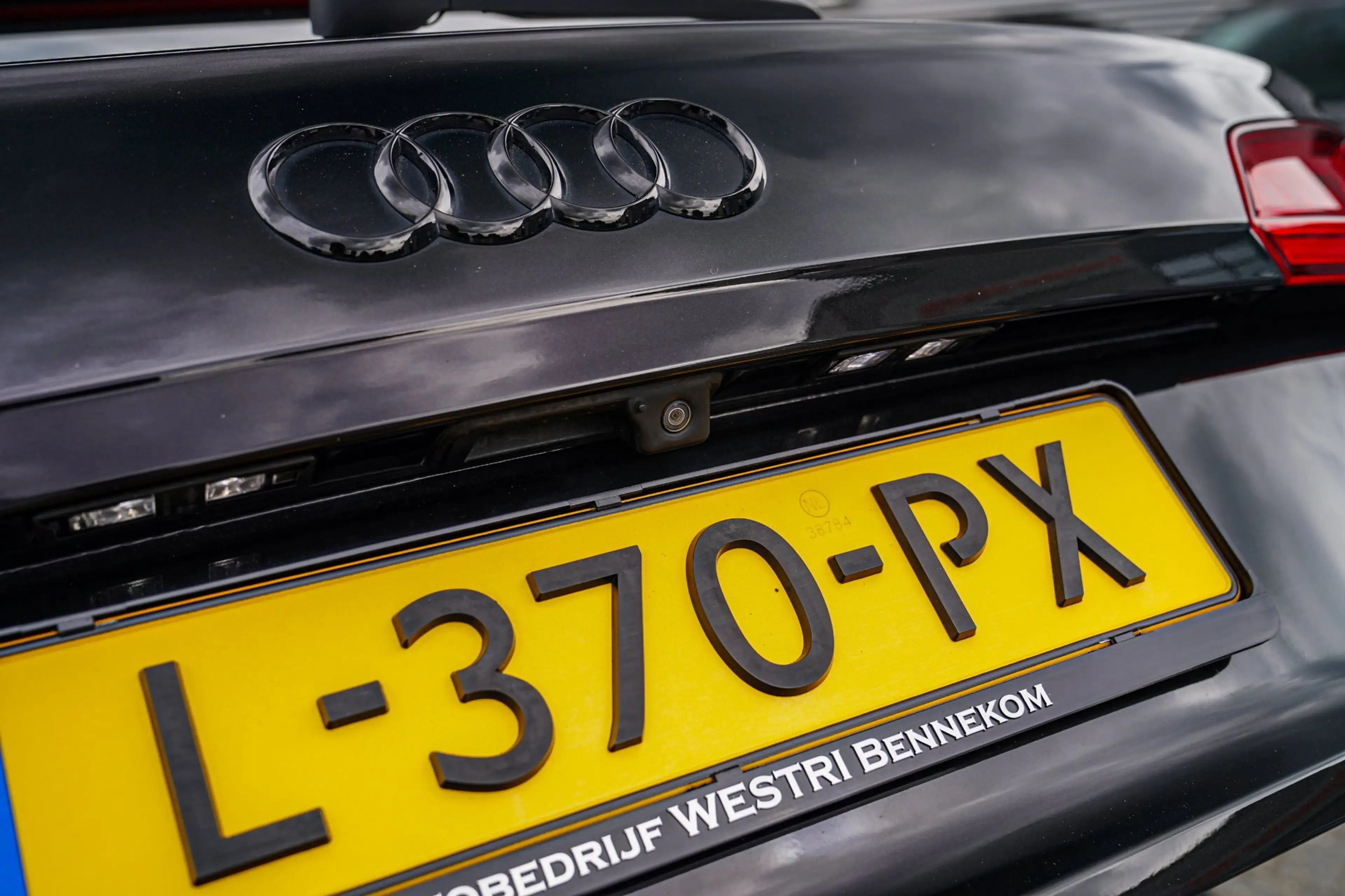 Audi SQ5 3.0 TFSI SQ5 quattro Pro Line Plus | Panorama | Tr — photo 26
