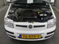 Fiat Panda 1.2 Edizi Cool - Airco - Trekhaak - Nieuwe Distrib Weiß - thumbnail 14