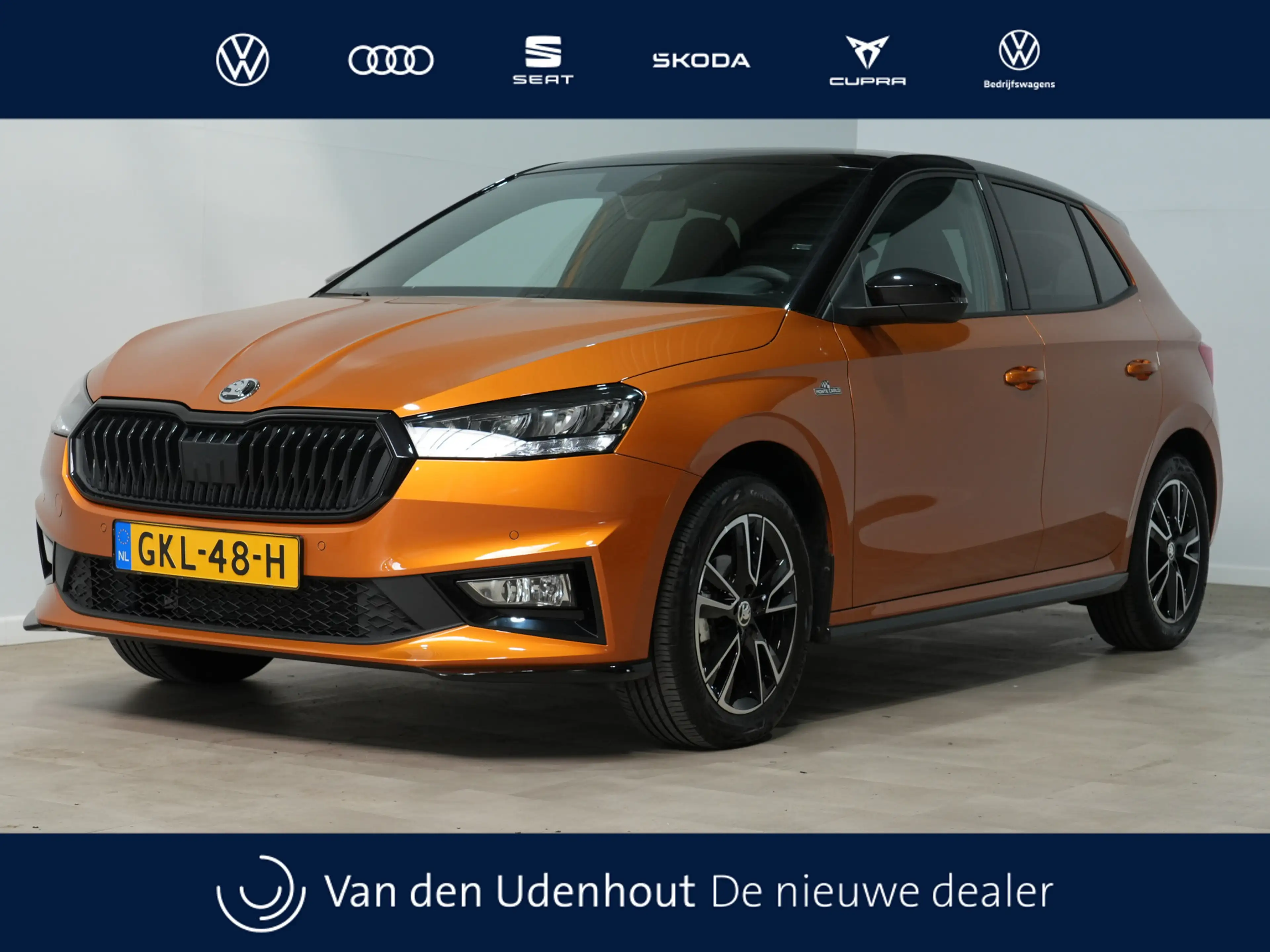 Skoda Fabia 1.0 95pk TSI Monte Carlo Navigatie via App Cruise