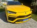 Lamborghini Urus Urus 4.0 V8 auto Giallo - thumbnail 9