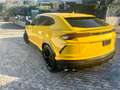 Lamborghini Urus Urus 4.0 V8 auto Giallo - thumbnail 5
