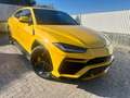 Lamborghini Urus Urus 4.0 V8 auto Giallo - thumbnail 1