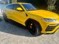 Lamborghini Urus Urus 4.0 V8 auto Giallo - thumbnail 8