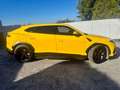 Lamborghini Urus Urus 4.0 V8 auto Giallo - thumbnail 2