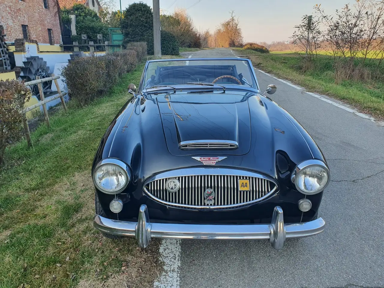 Austin-Healey 3000 mk2, foto 3