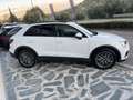 Audi Q3 Q3 40 2.0 tdi quattro 190cv TETTO MATRIX Weiß - thumbnail 4
