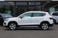 SEAT Ateca 2.0 TDI DSG Xperience 4Drive AHK*KAM*NAV*SHZ Weiß - thumbnail 5