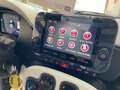 Fiat Panda Pandina 1.0 firefly hybrid 70cv Cross Km0 Km0 km0 Nero - thumbnail 15