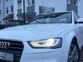 Audi A4 Avant Ambition 3.0 TDI AUTOMATIK! AHK! TÜVNEU Weiß - thumbnail 24