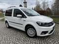 Volkswagen Caddy Trendline BMT KLIMA TEMPOMAT ACC Blanc - thumbnail 2