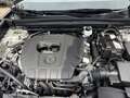 Mazda CX-30 Homura Navi LED Dyn. Kurvenlicht ACC El. Heckklapp Beige - thumbnail 14