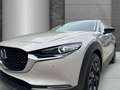 Mazda CX-30 Homura Navi LED Dyn. Kurvenlicht ACC El. Heckklapp Beige - thumbnail 4