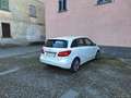 Mercedes-Benz B 220 B 220 Automatic 4Matic 4X4 PELLE + NAVI Bianco - thumbnail 8