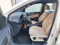 Mercedes-Benz B 220 B 220 Automatic 4Matic 4X4 PELLE + NAVI Blanco - thumbnail 19