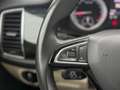 Skoda Kodiaq 2,0 TDI SCR Style DSG 7-Sitzer/Pano Schwarz - thumbnail 19
