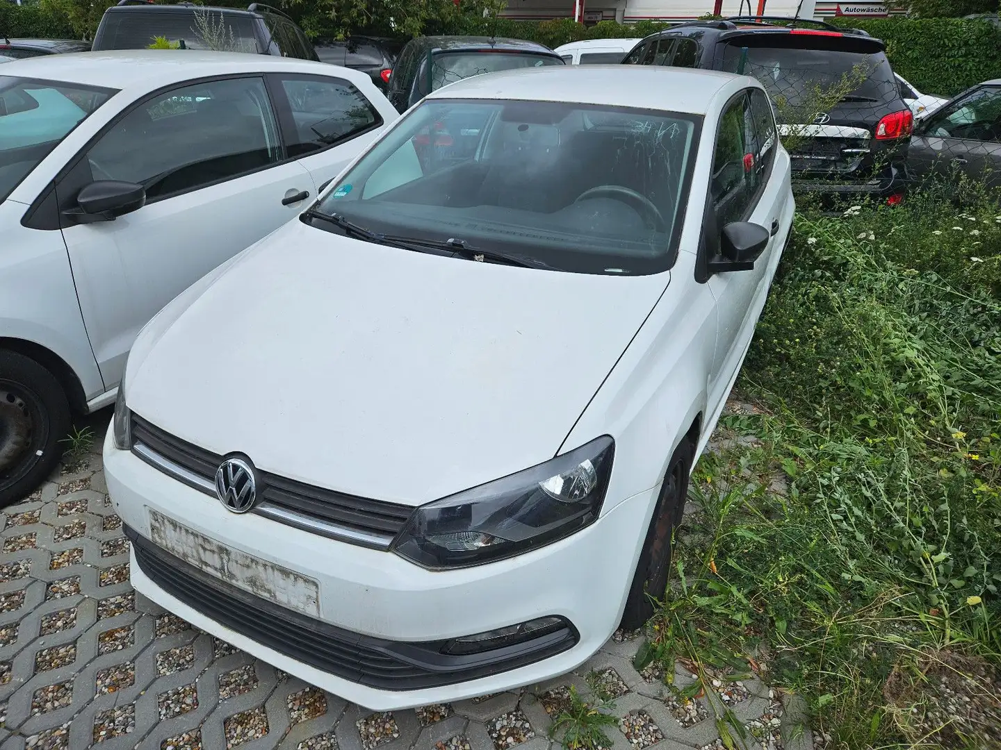 Volkswagen Polo /TÜV/Wenig KM/Trendline Blanc - 2