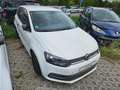 Volkswagen Polo /TÜV/Wenig KM/Trendline Blanc - thumbnail 1
