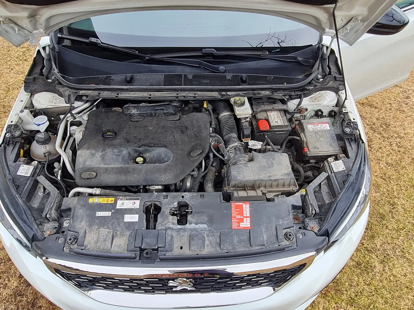 Peugeot 308 SW 2,0 BlueHDI 150 GT Line EAT6 S Weiß - 2