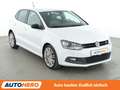 Volkswagen Polo 1.4 TSI ACT BlueGT*PDC*SHZ*BLUETOOTH Weiß - thumbnail 8