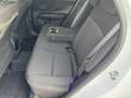 Hyundai KONA Kona 1.0 T-GDI Hybrid 48V iMT NLine Bianco - thumbnail 12