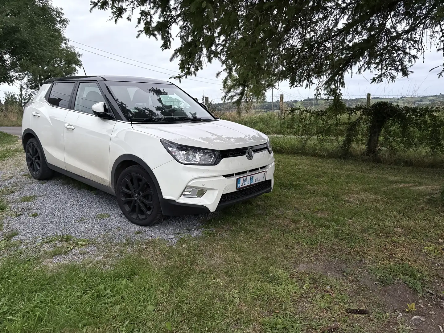 SsangYong Tivoli 1.6i e-XGi 2WD Quartz Белый - 1