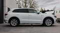 Volkswagen Touareg 4.0 TDI V8 / LICHTE VRACHT / LED / NAVI / DYNAUDIO Wit - thumbnail 29