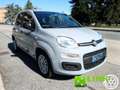 Fiat Panda 1.0 FireFly S&S Hybrid Grijs - thumbnail 4