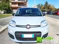 Fiat Panda 1.0 FireFly S&S Hybrid Grijs - thumbnail 3