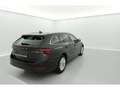 Skoda Octavia Octavia Combi Clever 2,0 TDI 85 kW 7-speed automat. Gris - thumbnail 10