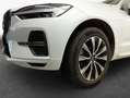 Volvo XC60 XC60 B5 B AWD Core Weiß - thumbnail 6