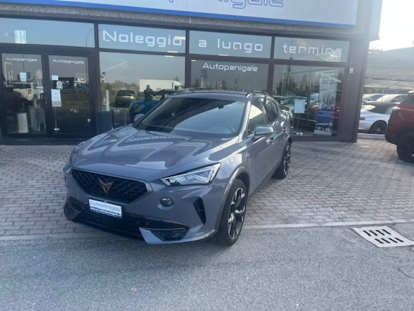CUPRA Formentor 2.0 TDI 4Drive DSG Grigio - 1