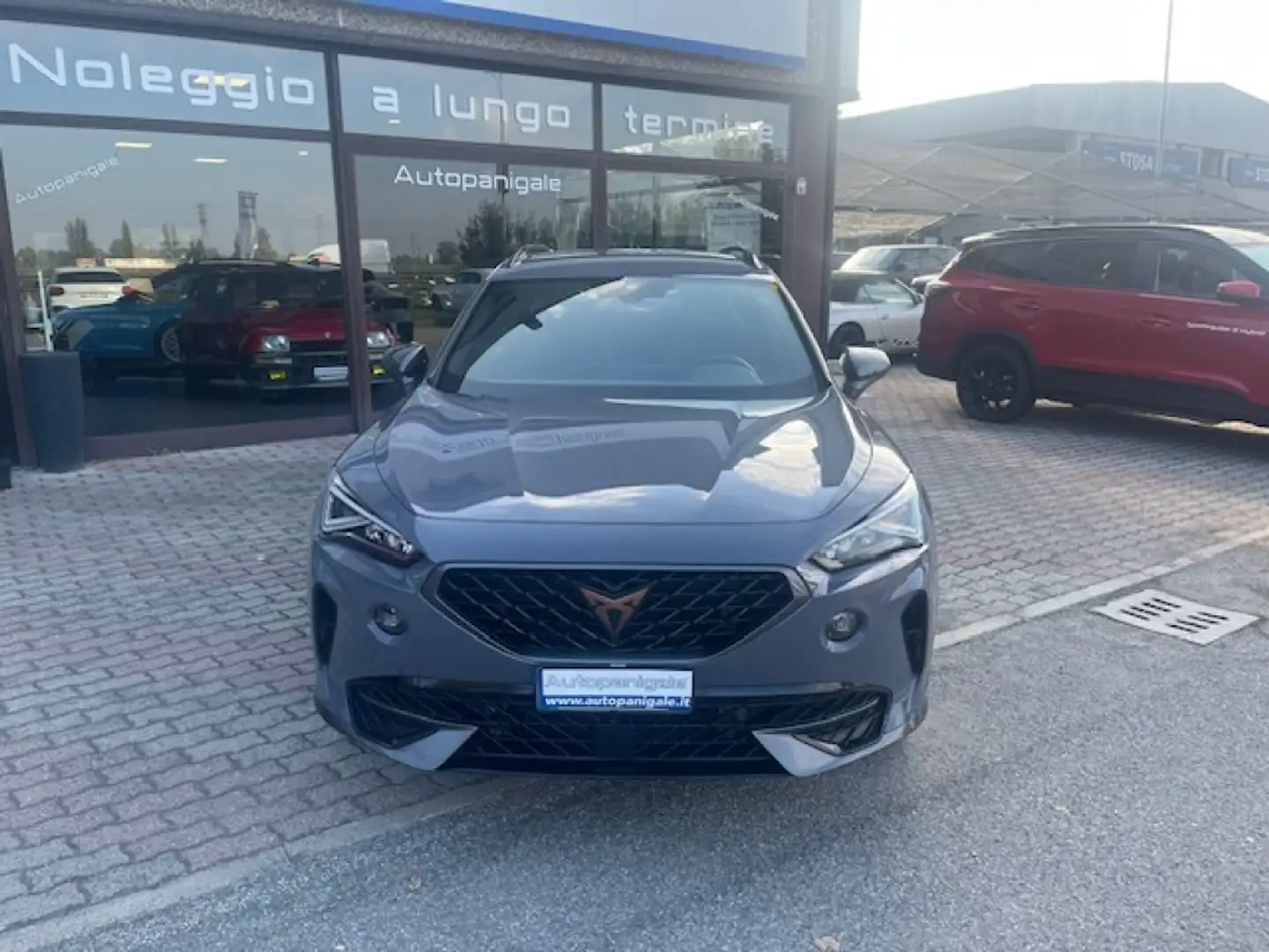 CUPRA Formentor 2.0 TDI 4Drive DSG Grigio - 2