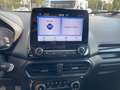 Ford EcoSport 1.0 ecoboost Titanium s&s 125cv my20.25 - thumbnail 17
