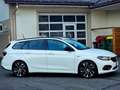 Fiat Tipo 1,4 T-Jet 120 Start&Stop S-Design Weiß - thumbnail 10