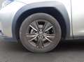 Lexus UX 250h 2.0 executive 2wd cvt my20 Grau - thumbnail 10